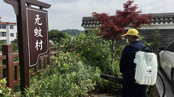 白蟻對速生桉的危害！